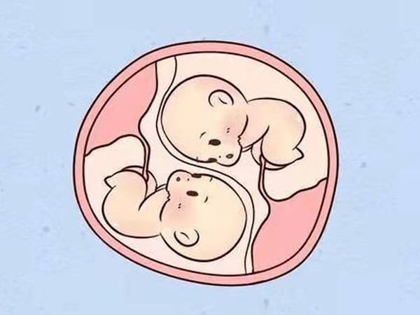 深圳试管婴儿价格：子宫内膜厚度与积液有何关系, 内膜厚有积液是什么情况