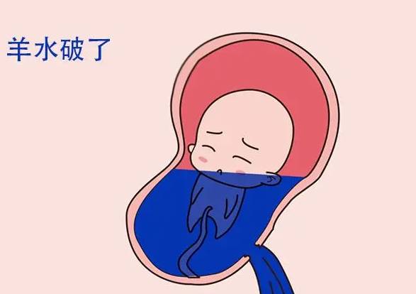 深圳助孕公司：专家解答试管胚胎不发育原因，你需要了解的关键性知识