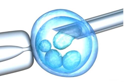 深圳试管助孕公司：排卵期的特征，让你知晓你正在排卵