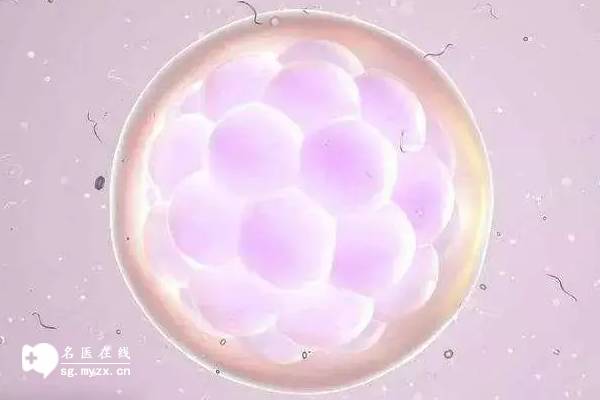 深圳试管助孕公司：提前发现孕期胎儿畸形征兆，警惕下腹痛和流血的风险！