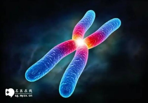 深圳助孕：怀孕能吃榴莲吗,怀孕期间的饮食要忌口吗