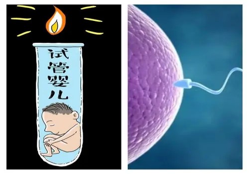 深圳试管婴儿价格：2023金华中医院试管婴儿流程指南，一文读懂助孕成功率多少