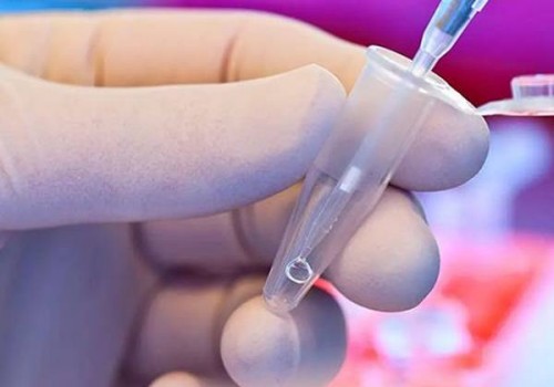 深圳三代试管助孕：胚胎怕热还真有原因，探秘腹部高温半小时对胎儿的影响！