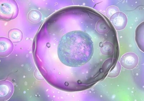 深圳试管助孕公司：2023年做试管婴儿的家庭别再相信试管婴儿不成功包退款的骗局了！