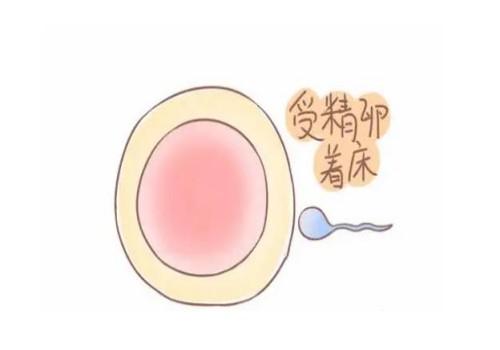 深圳三代试管助孕中心：2023西安交大一附院试管婴儿全攻略，三代助孕成功率参考